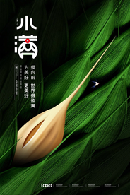 大气小满海报设计