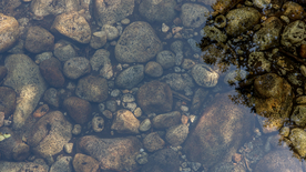 鹅卵石砂石图片