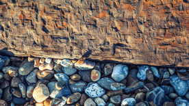 鹅卵石砂石图片