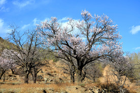 山西省大同市阳高县守口堡