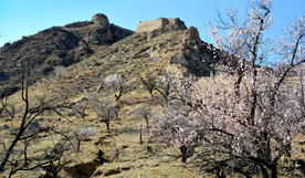 山西省大同市阳高县守口堡