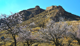 山西省大同市阳高县守口堡