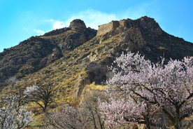 山西省大同市阳高县守口堡