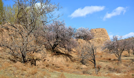 山西省大同市阳高县守口堡