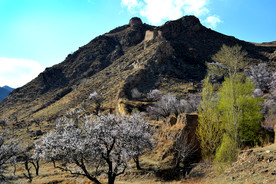 山西省大同市阳高县守口堡