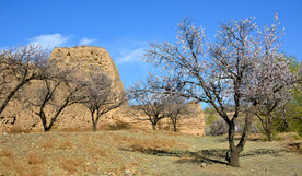 山西省大同市阳高县守口堡