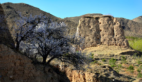 山西省大同市阳高县守口堡