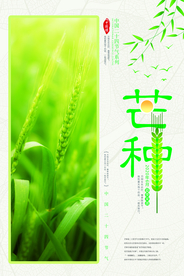 清新芒种海报