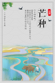 清新芒种海报