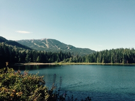 森林湖泊唯美图片