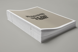 画册样机