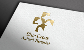 样机 logo样机 标志样机