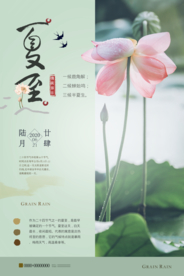 大气清新夏至节气海报