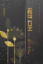 大气简约夏至海报