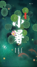 小暑荷塘月色APP启动页