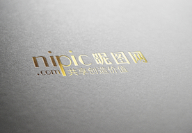 标识样机 LOGO样机