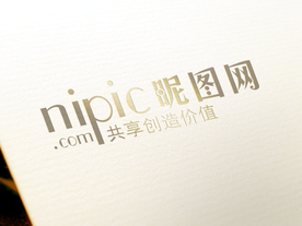 标识样机 LOGO样机