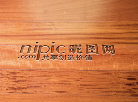 标识样机 LOGO样机