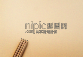 标识样机 LOGO样机