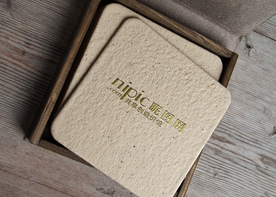 标识样机 LOGO样机