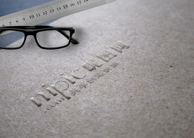 标识样机 LOGO样机