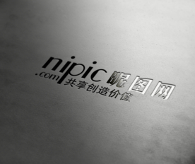 标识样机 LOGO样机