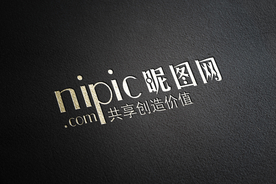 标识样机 LOGO样机