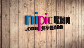 标识样机 LOGO样机