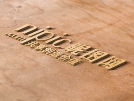 标识样机 LOGO样机