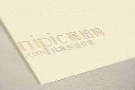 标识样机 LOGO样机