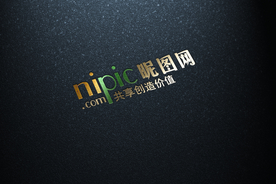 标识样机 LOGO样机