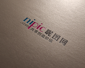 标识样机 LOGO样机