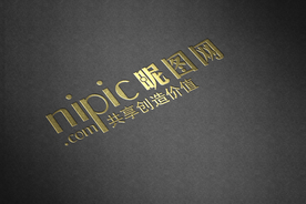 标识样机 LOGO样机