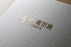 标识样机 LOGO样机