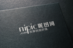 标识样机 LOGO样机