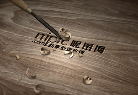 标识样机 LOGO样机