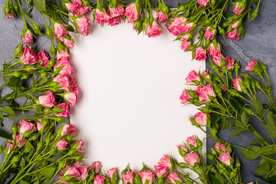 粉红色玫瑰背景