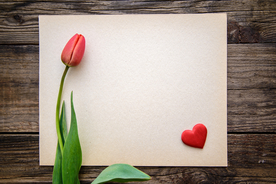 红色郁金香背景图片