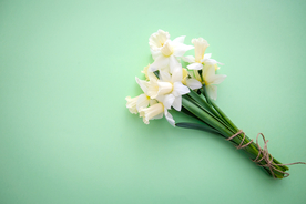 水仙花背景图片