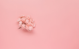 洋甘菊花束背景图片