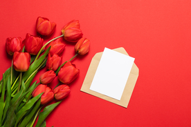 红色郁金香背景图片