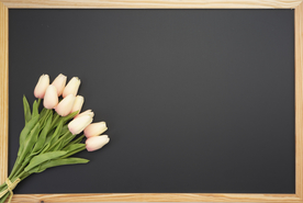 郁金香花束背景