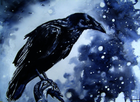 夜晚乌鸦插画