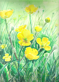 油画绘画植物花朵