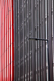 鹿特丹风景图片