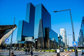 鹿特丹风景图片