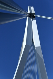 鹿特丹风景图片