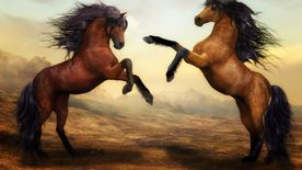 骏马马匹马儿图片