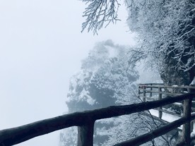 雾凇 雪景