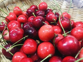车厘子 大樱桃